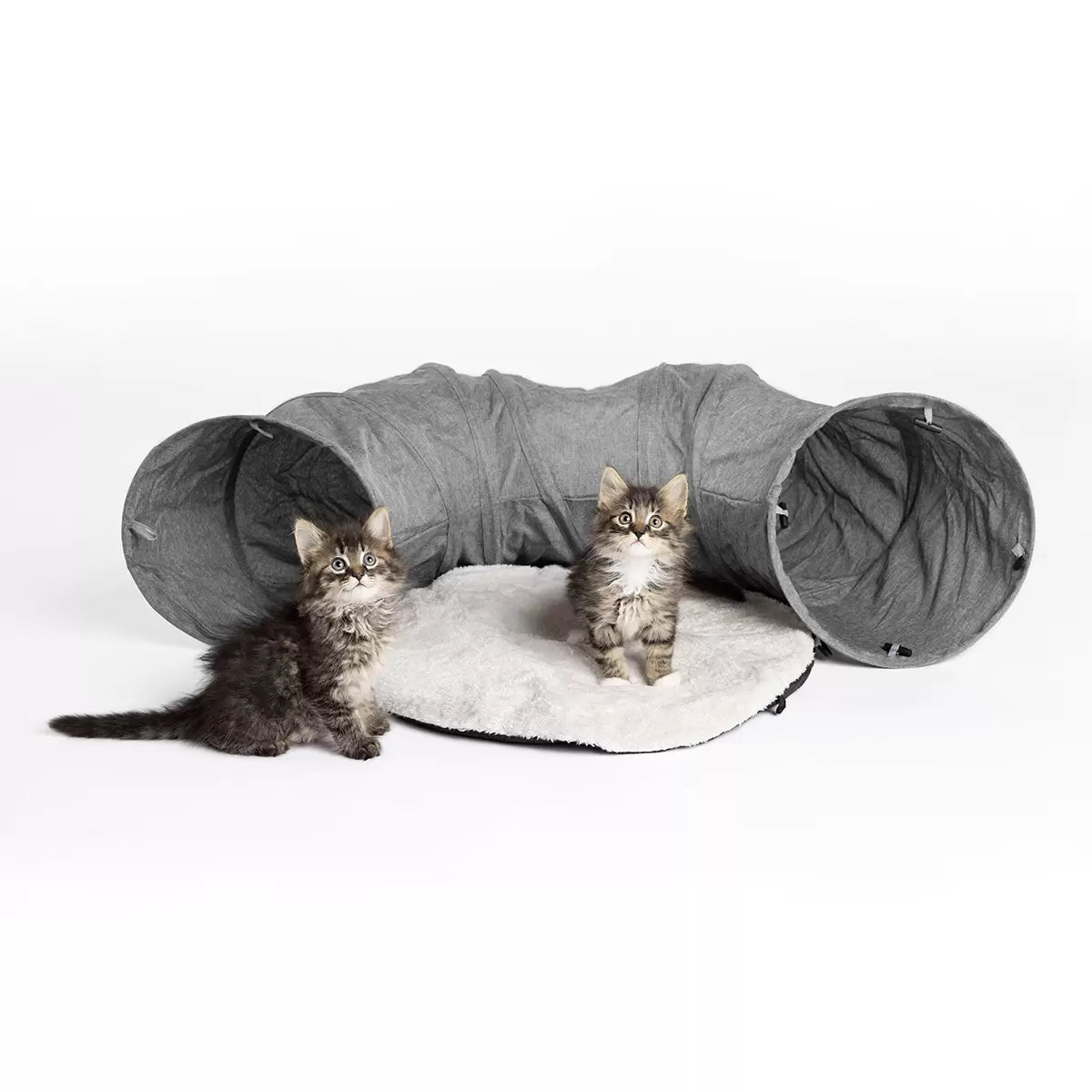 Túnel para Gato 2 Piezas – Companion Gear